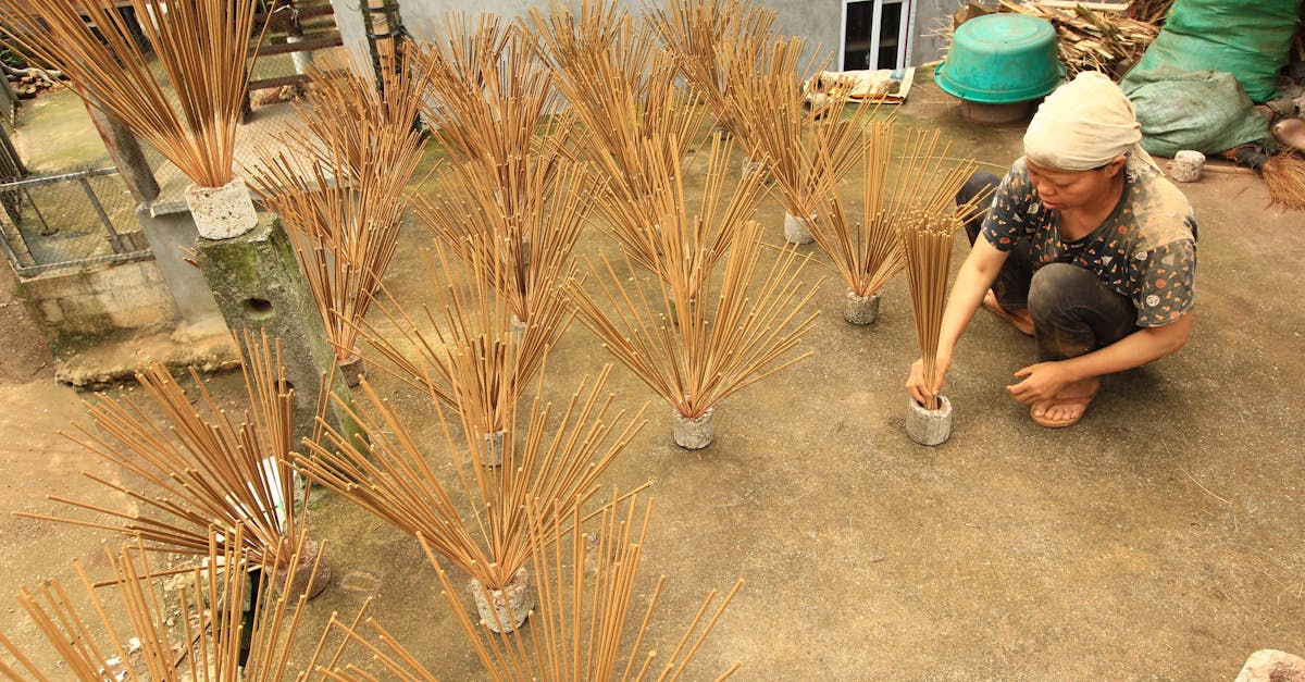 découvrez le monde fascinant des odeurs : de leur impact sur nos émotions à leur rôle essentiel dans notre quotidien. plongez dans l'univers olfactif et apprenez comment les senteurs influencent notre vie.