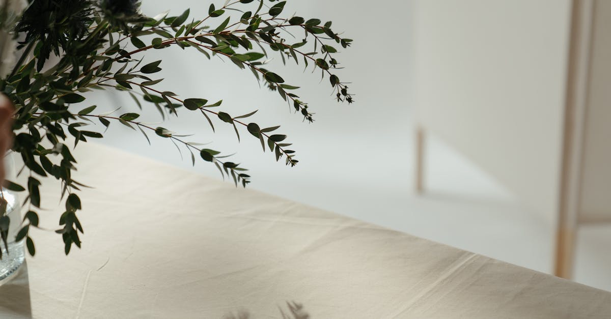 découvrez notre collection de nappes élégantes et modernes, idéales pour sublimer vos tables lors d'occasions spéciales ou au quotidien. offrez à votre intérieur une touche de style avec nos tissus de qualité.