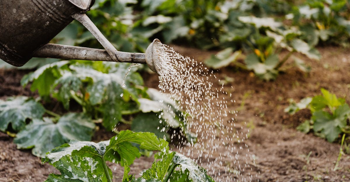 Réduire sa consommation d’eau en blanchisserie